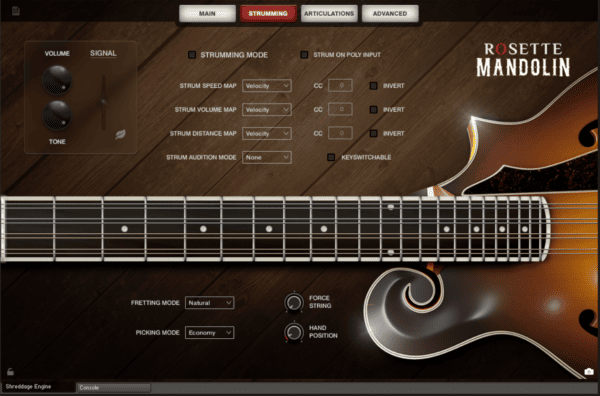 Rosette Mandolin (No Serial) - Image 3