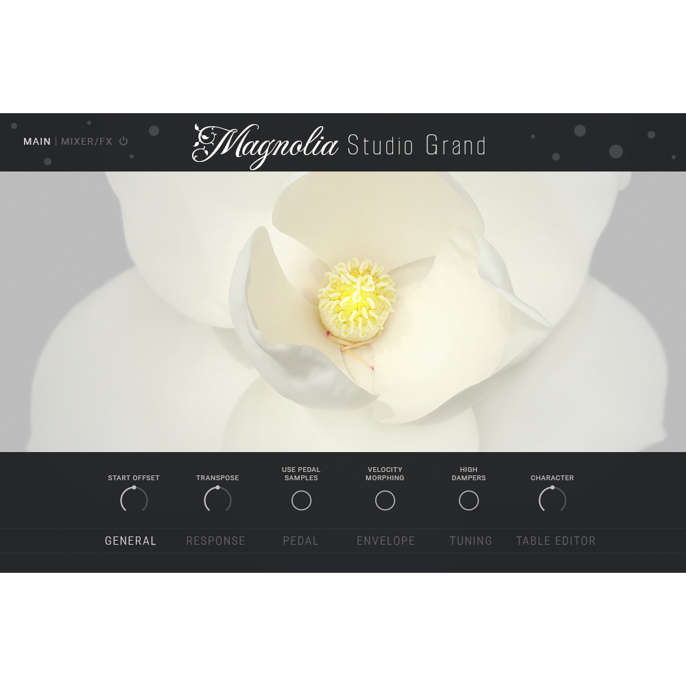 Magnolia Studio Grand thumbnail