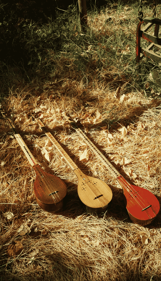 Koron Vertical Page Image