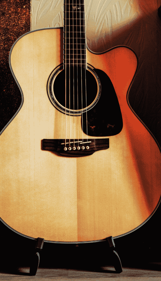Acoustic Guitar Vertical Page Image
